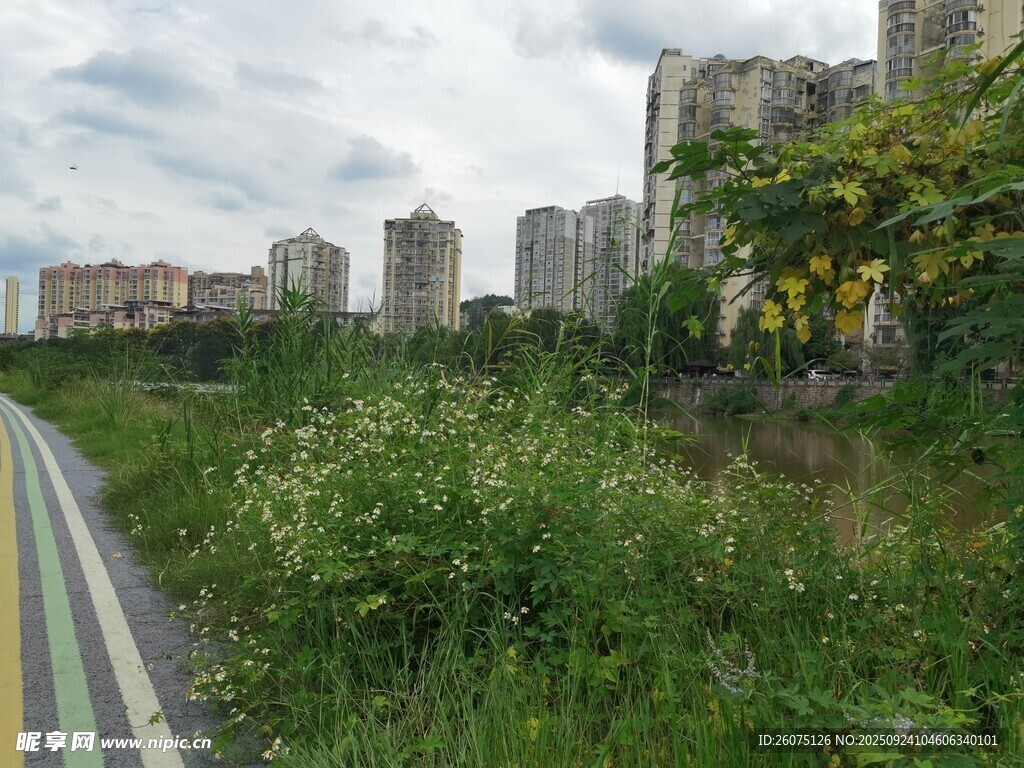 城市邊的多彩步道與綠植