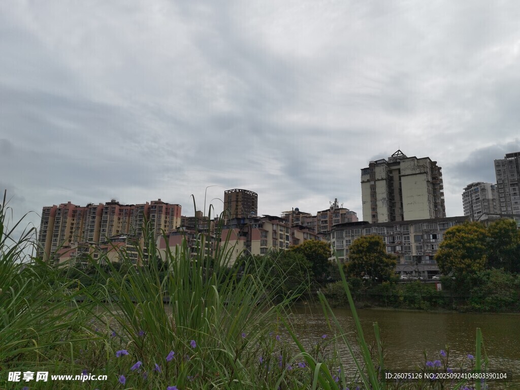 城市遠(yuǎn)景與前景綠植景觀