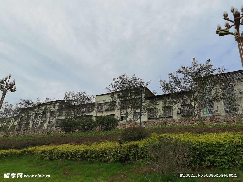 老舊建筑旁的綠植景觀