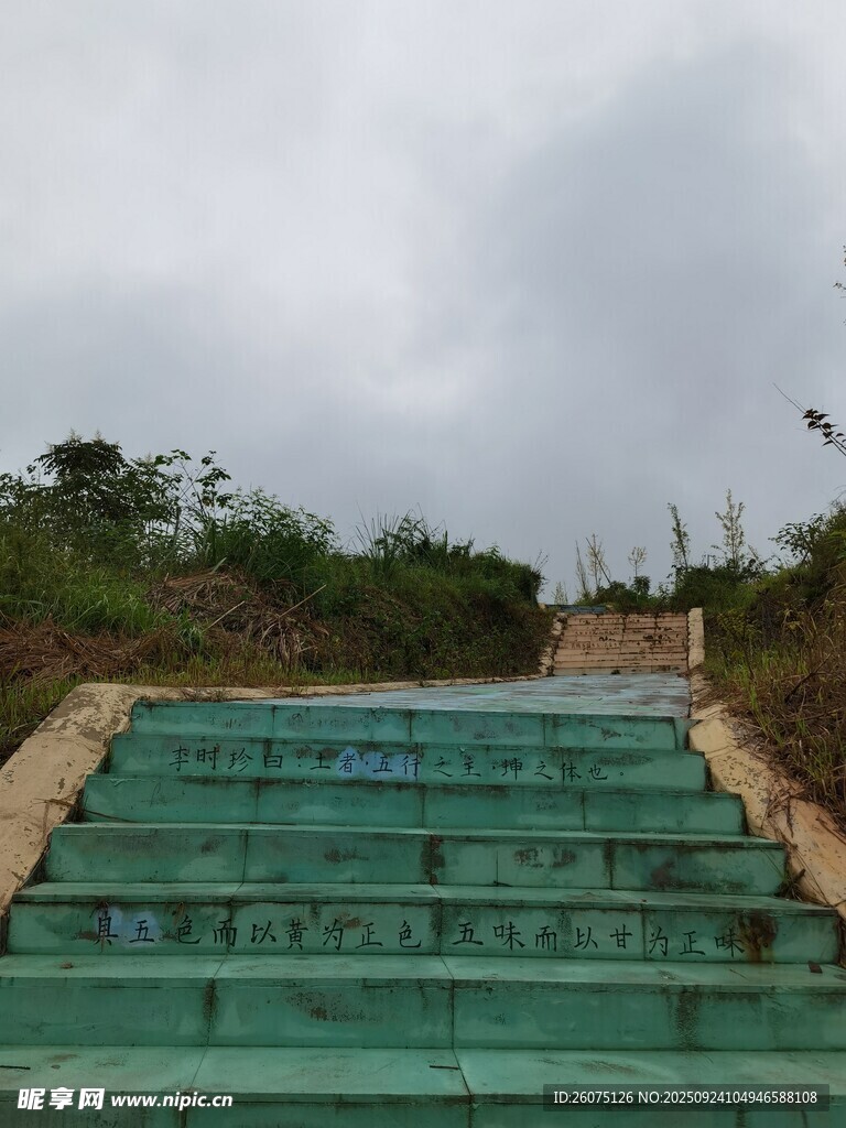 戶(hù)外綠色階梯自然景致