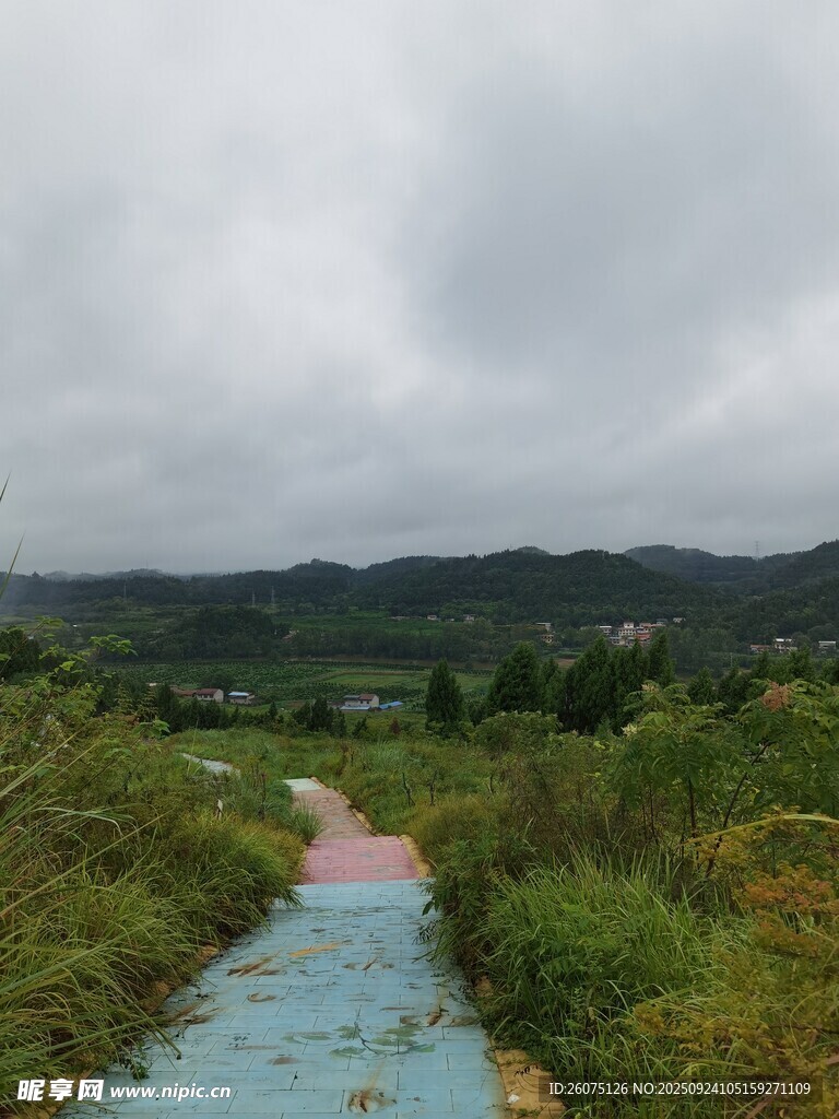 山間彩道蜿蜒于綠野