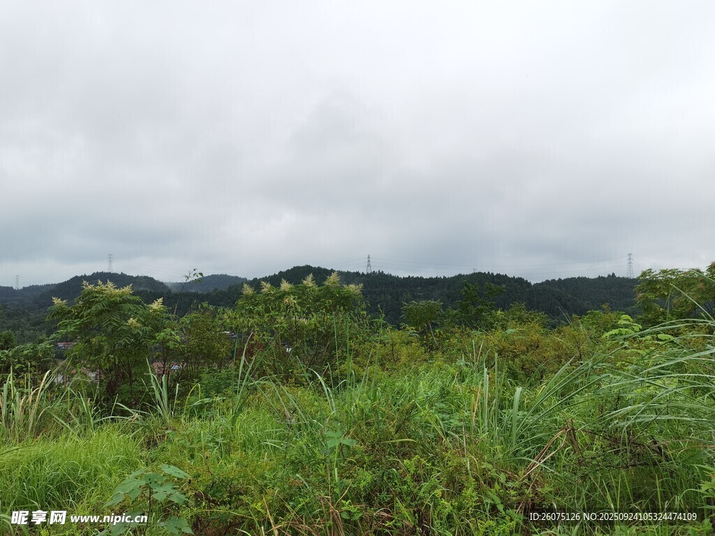 山間綠野云霧繚繞之景