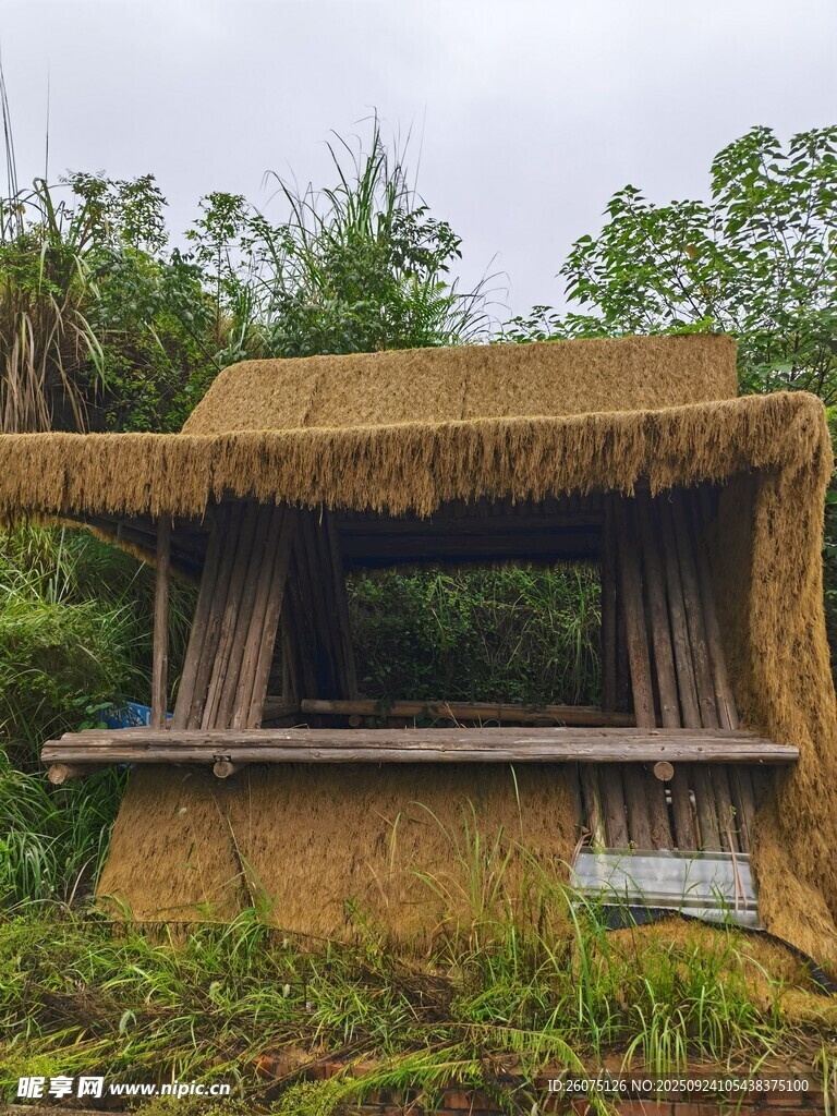 鄉(xiāng)村茅草小屋自然景致