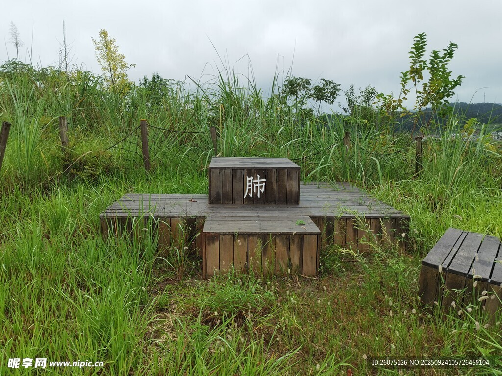 野外木質(zhì)桌椅置于草叢中