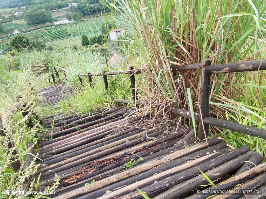 山間木制棧道自然野趣