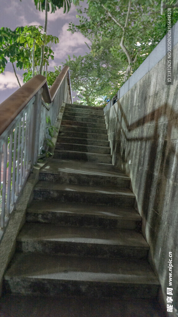 林間石階 靜謐自然之景