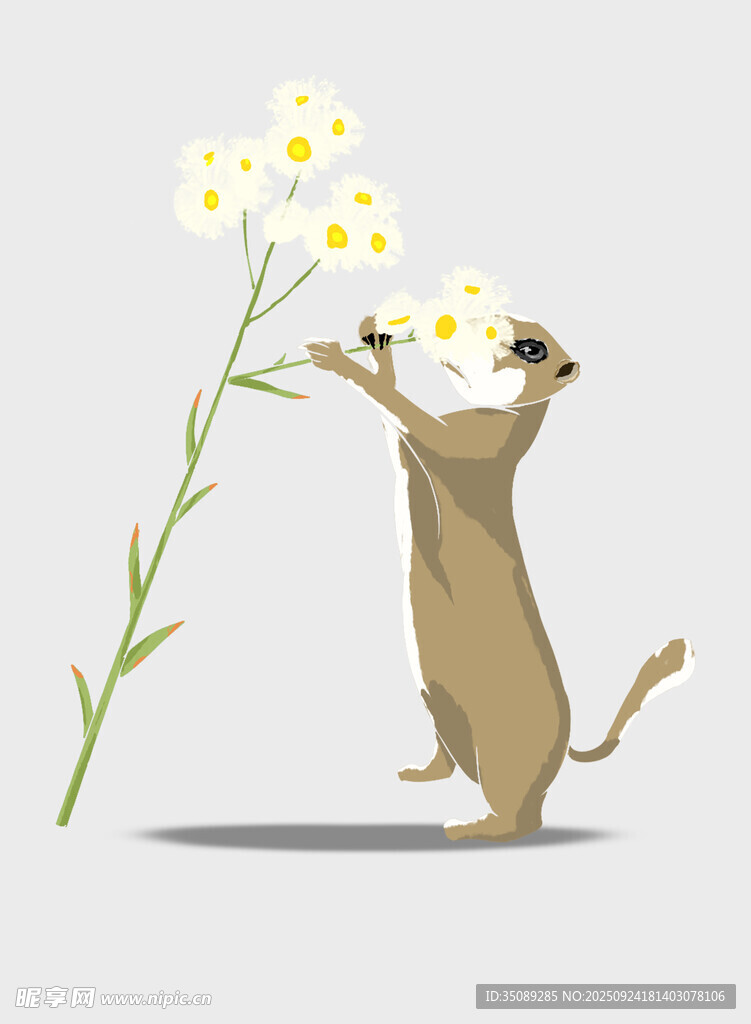 小狗嗅聞雛菊
