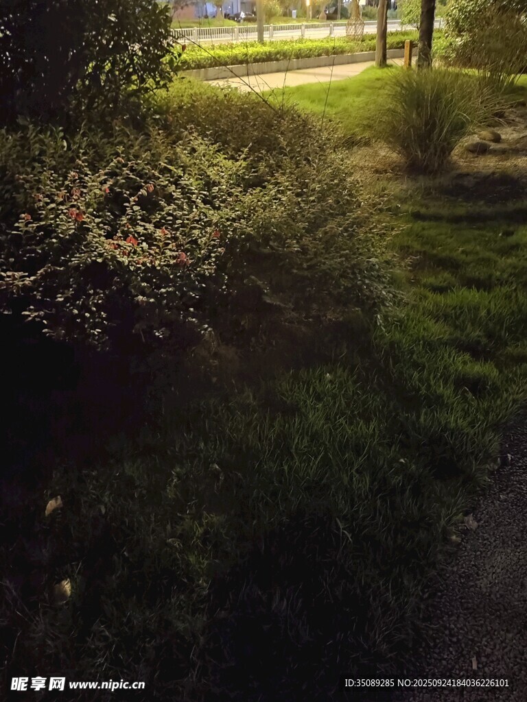 黃昏下的靜謐園林景觀