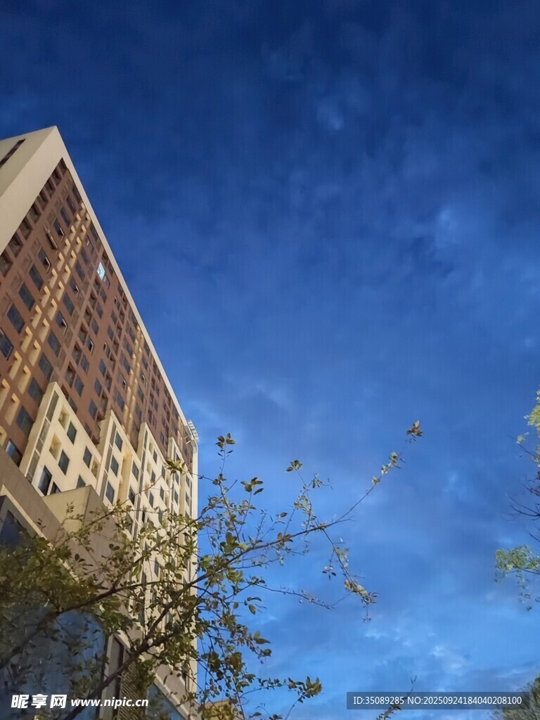 高樓映藍天