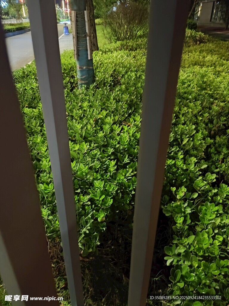 透過欄桿看綠意盎然景象