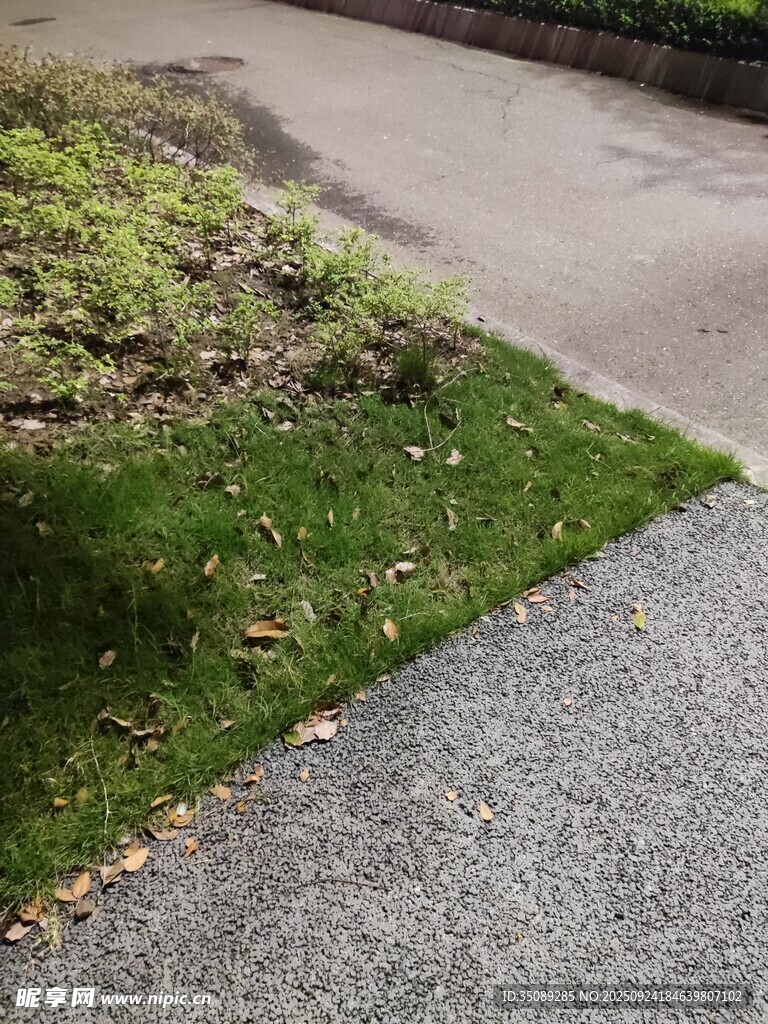 路邊草地與水泥路面景象