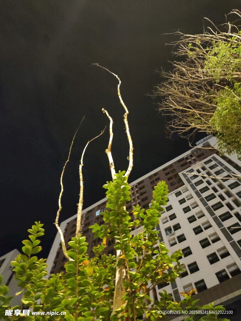 夜空中的絢爛閃電與建筑