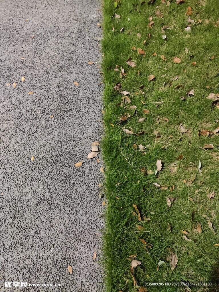路邊草地與灰色路面