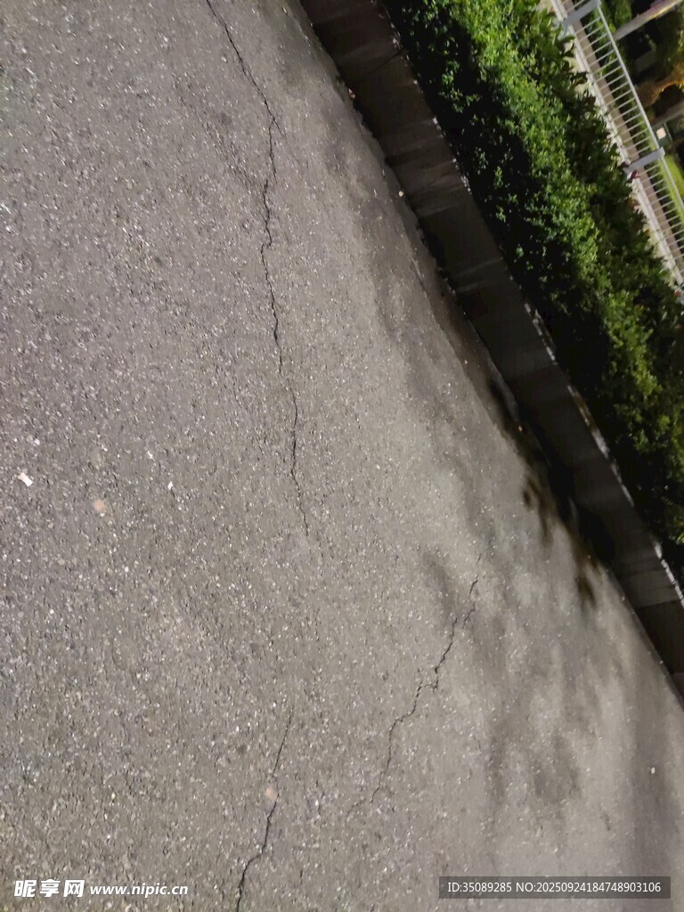 路面裂縫與旁側(cè)綠植