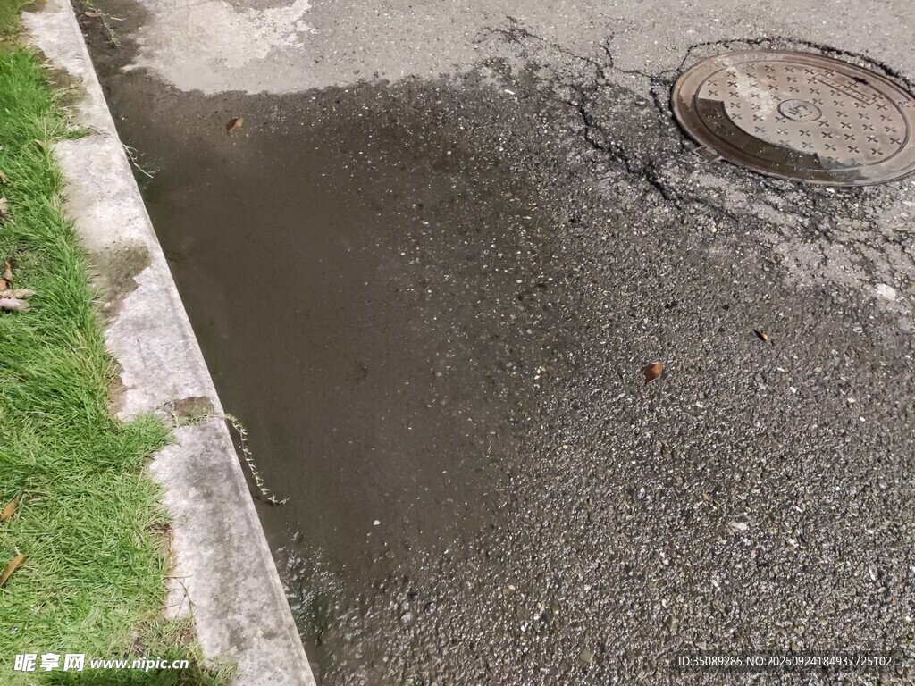 積水的路面與周邊綠植