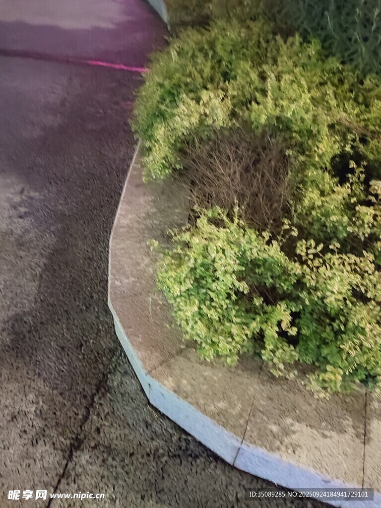 路邊綠植景觀一角