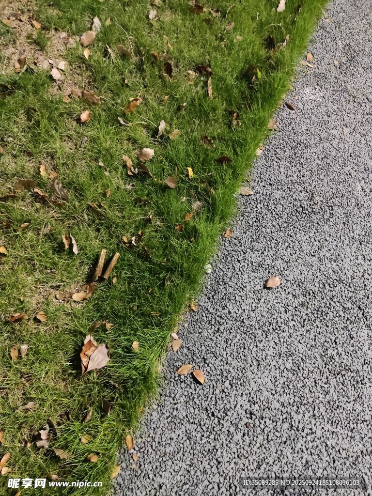路邊草地與灰色路面