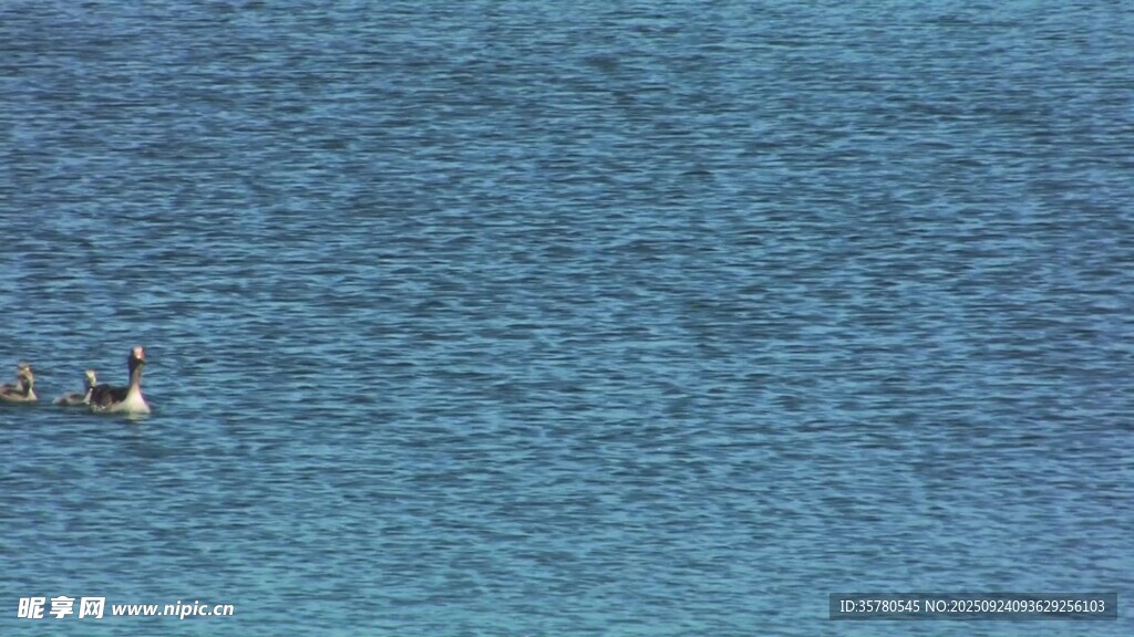 水面波紋視頻素材