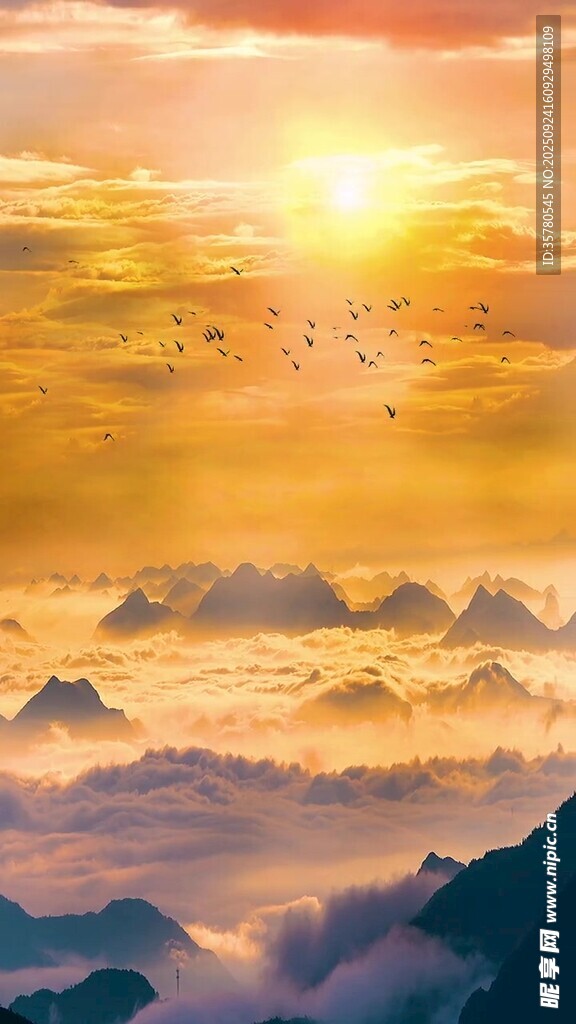壯麗云海日出景觀