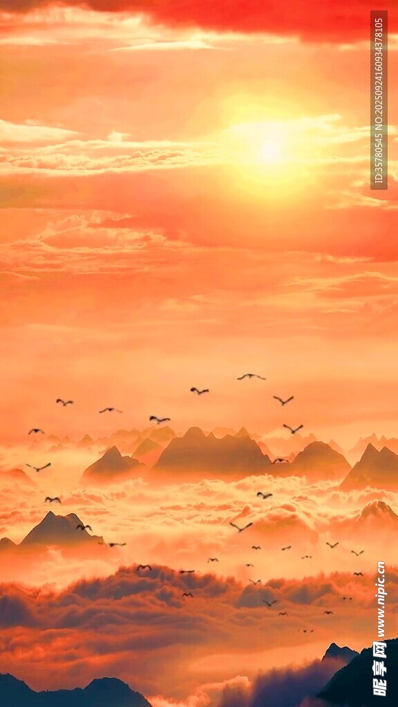 壯麗日出云海飛鳥(niǎo)景觀