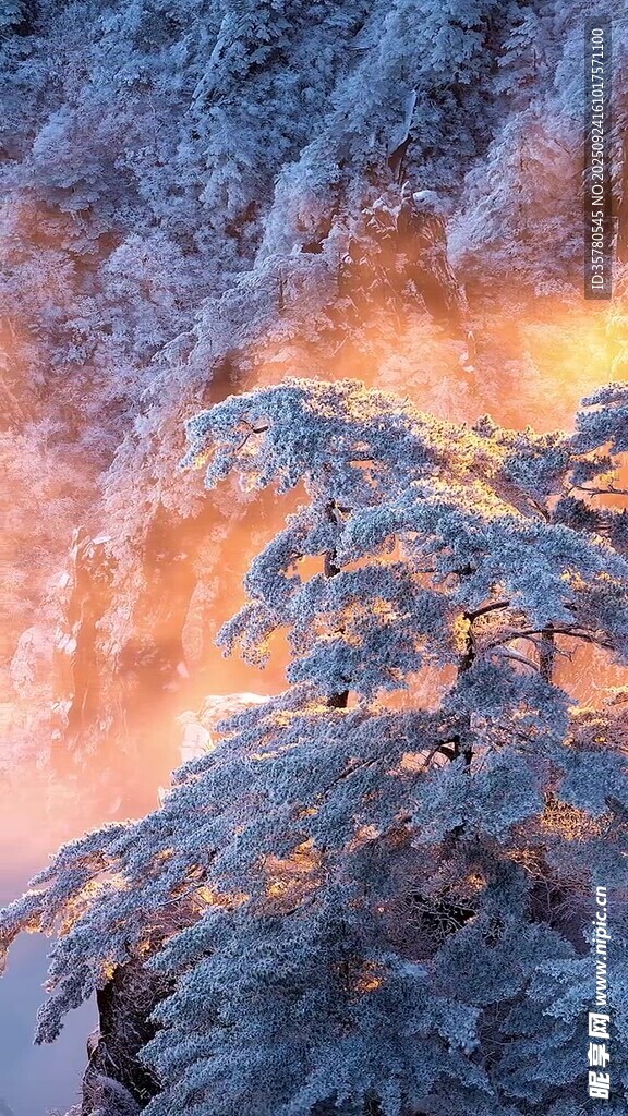 冬日山林雪景與絢爛霞光