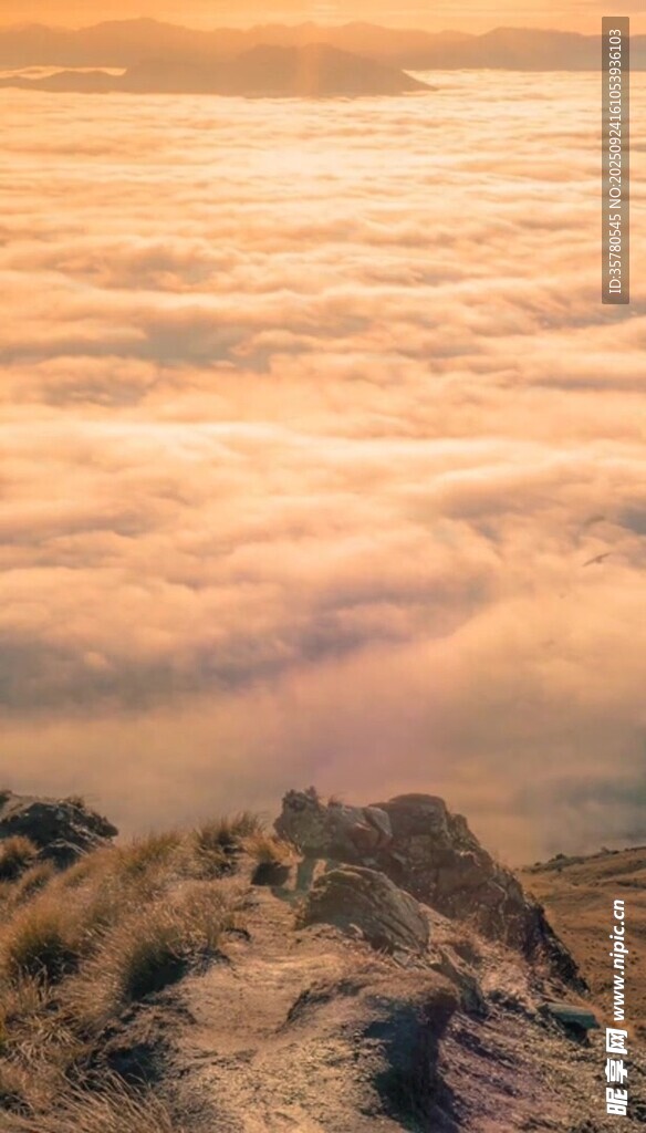 云海之上的壯麗山景