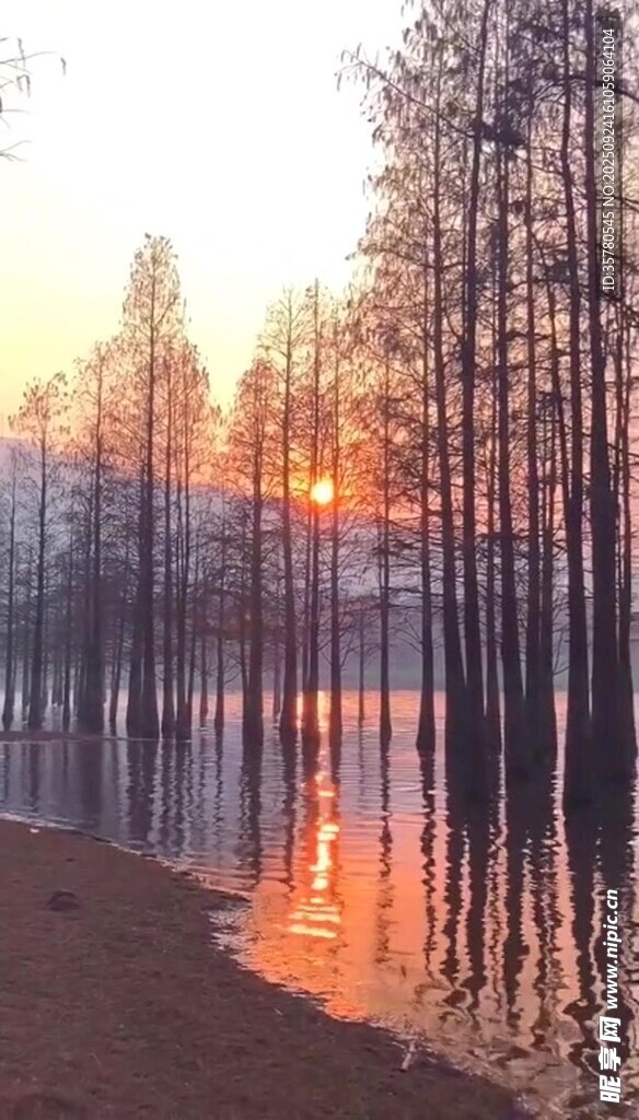 湖畔夕陽(yáng)下的樹(shù)木倒影