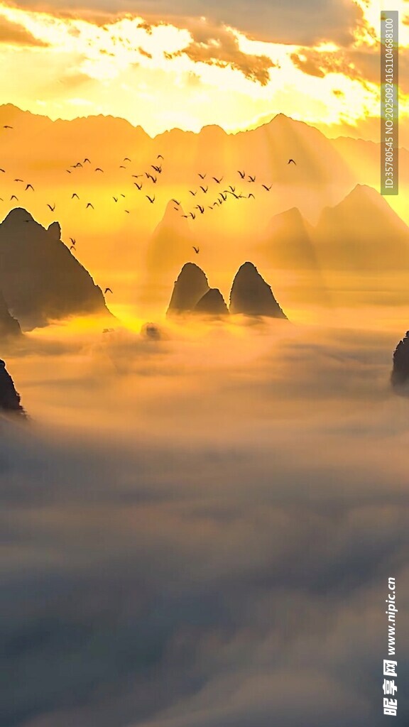 云海中的壯麗日出景觀