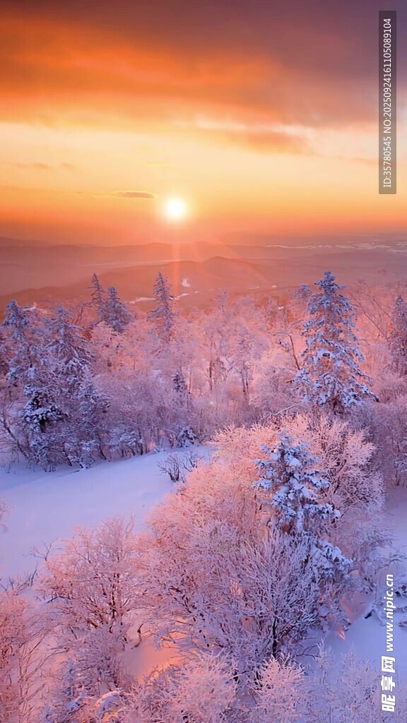 冬日雪林日落美景