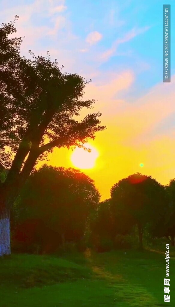 夕陽下的綠意美景