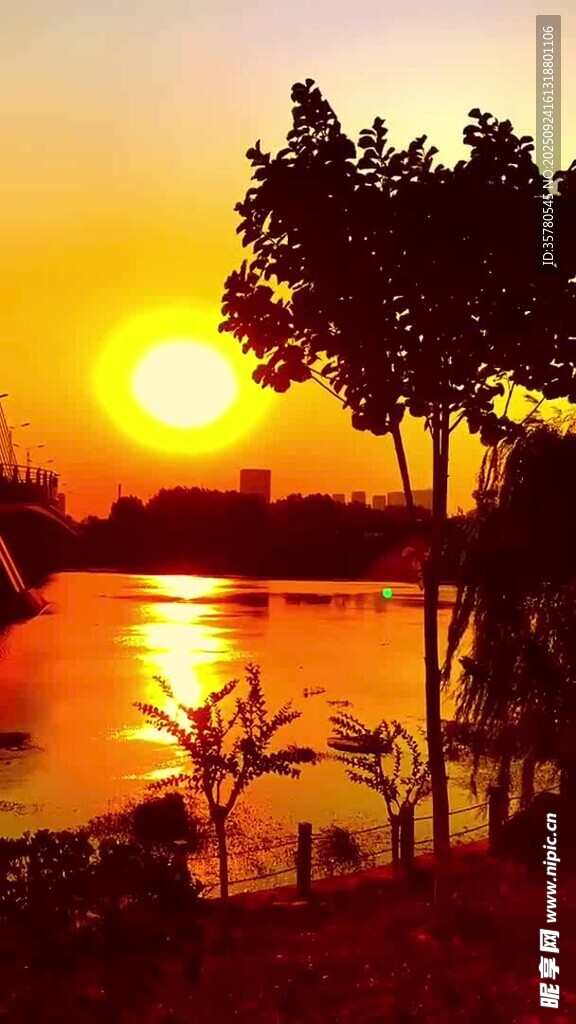 夕陽下湖畔樹木美景