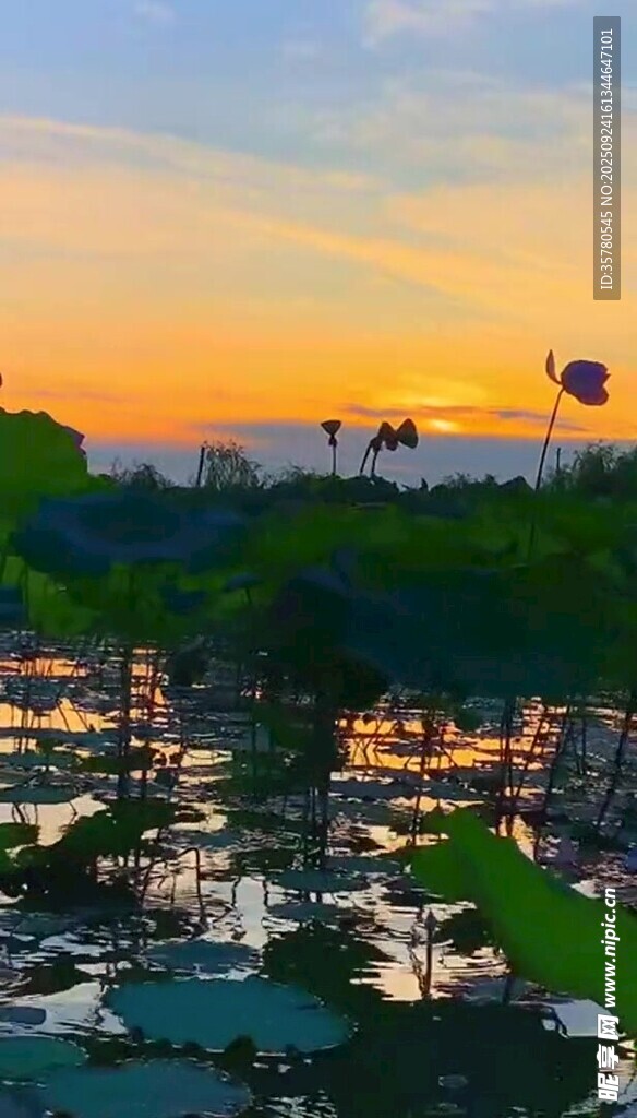 黃昏下的港口美景