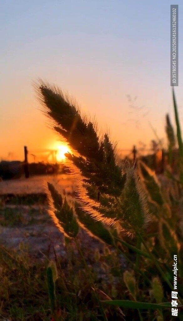 夕陽(yáng)晚霞云層景觀素材
