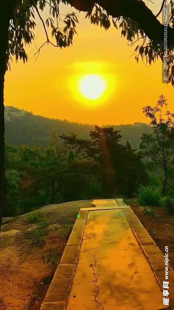 夕陽(yáng)下的林間靜謐之路