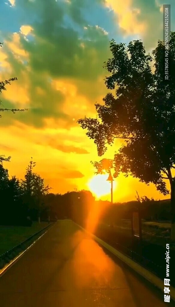 夕陽下的林間公路美景