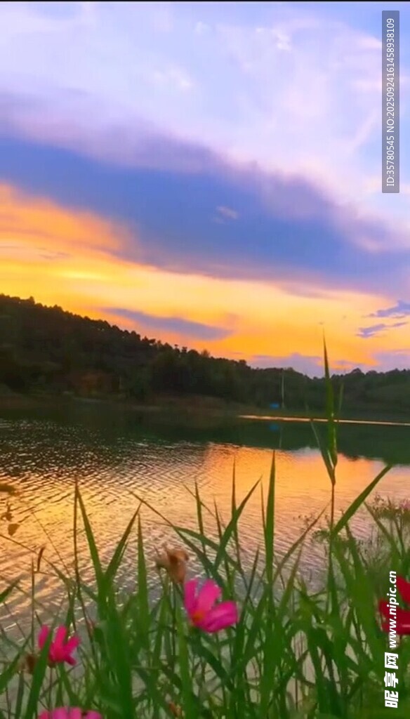 湖畔絢爛晚霞與綻放花朵
