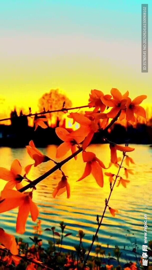 夕陽晚霞云層景觀素材