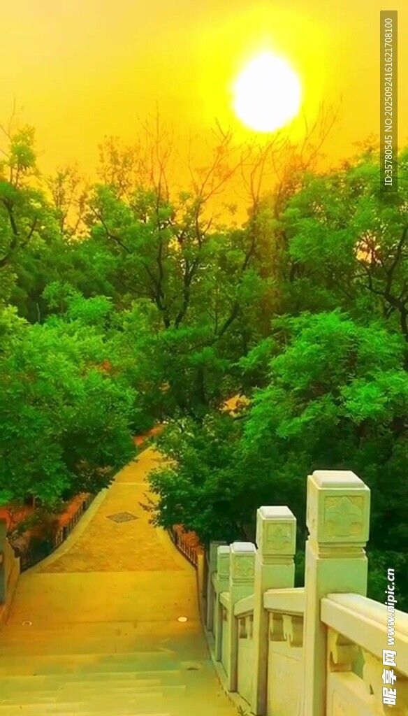 夕陽(yáng)下的林間小道