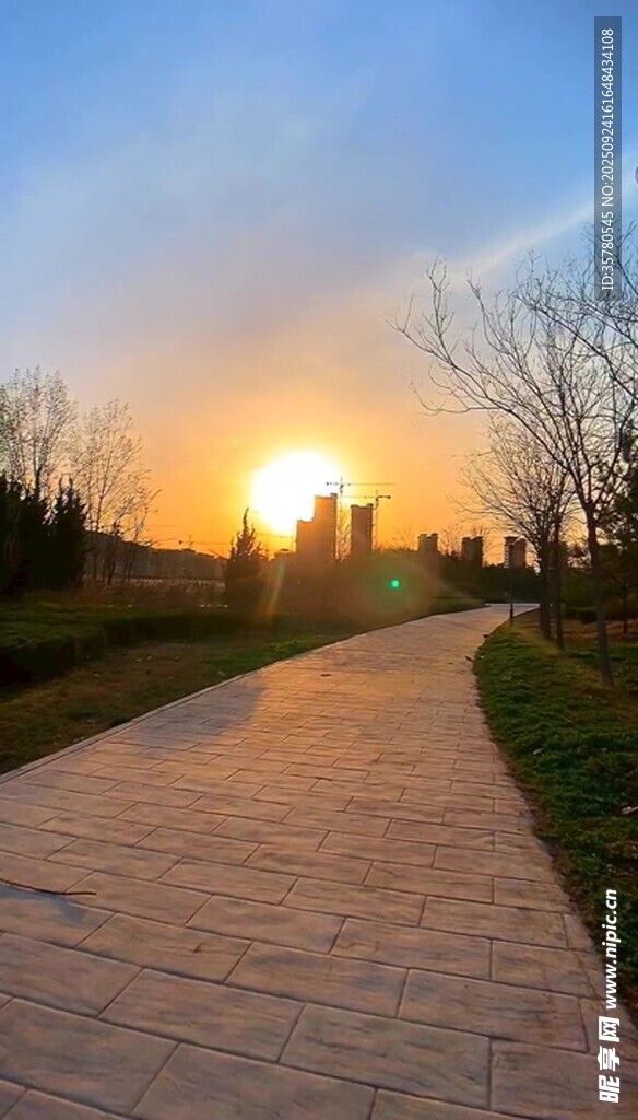 夕陽下的林間步道美景