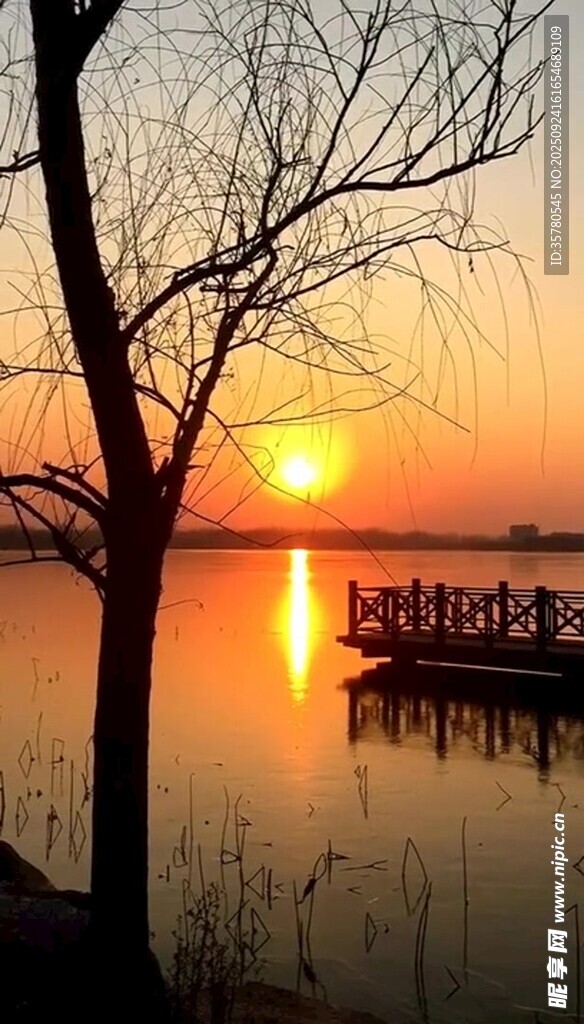 夕陽(yáng)下湖畔孤樹(shù)與棧橋