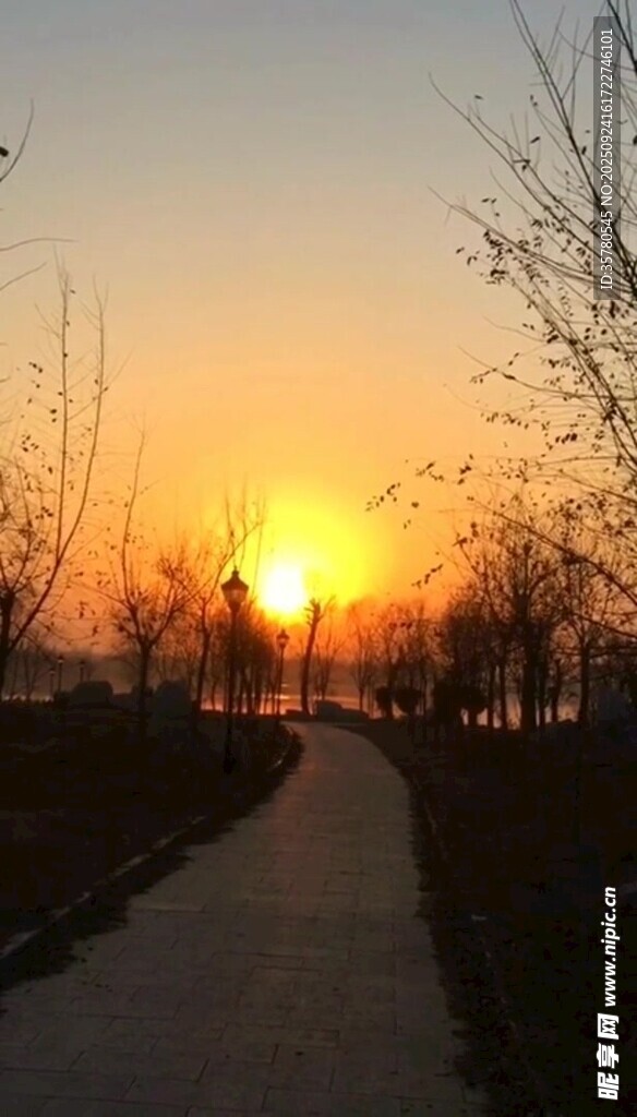 夕陽(yáng)下的靜謐小路