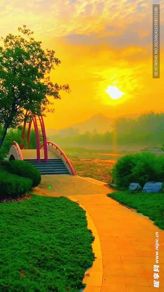 夕陽下的寧靜小道美景