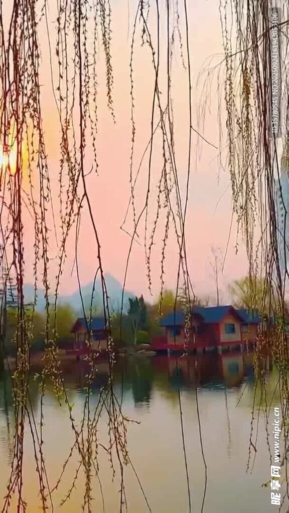 湖畔垂柳映夕陽(yáng)美景