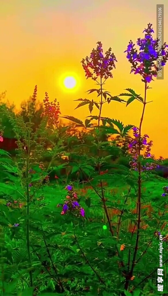 夕陽晚霞云層景觀素材