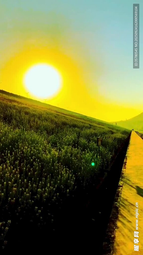 夕陽(yáng)下的田野小徑