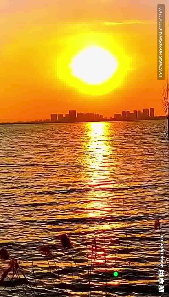 夕陽下海面的游泳者
