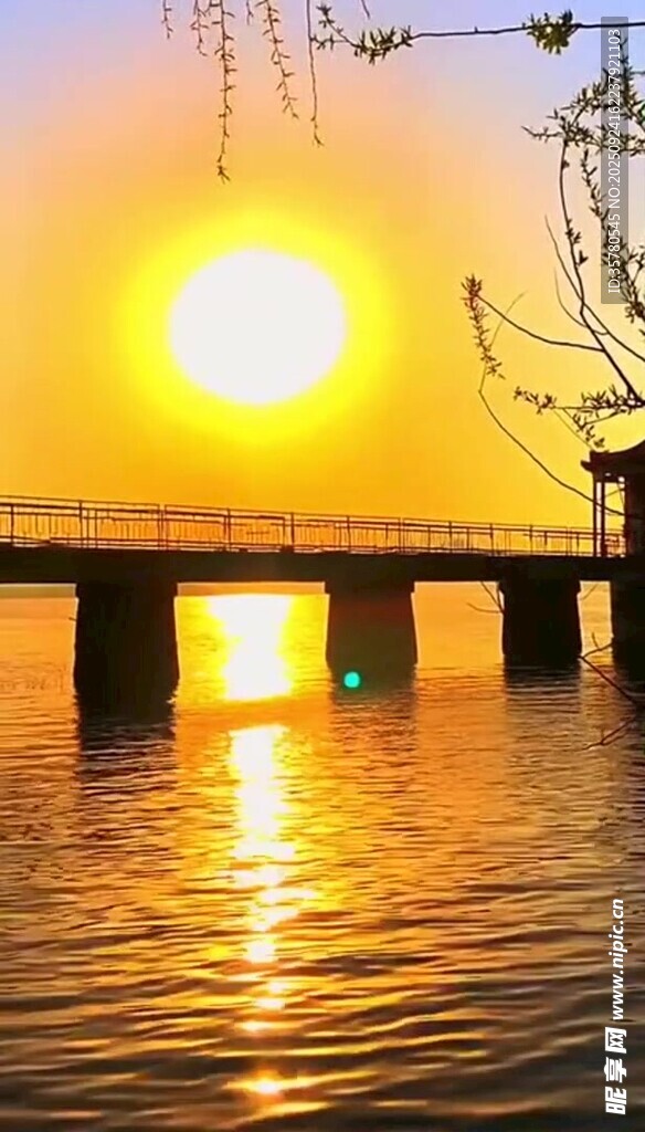 夕陽下的橋畔水景