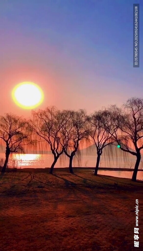 夕陽(yáng)下的湖畔樹林美景