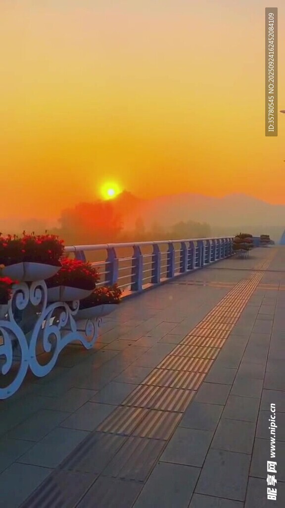 夕陽下的自行車與海濱步道