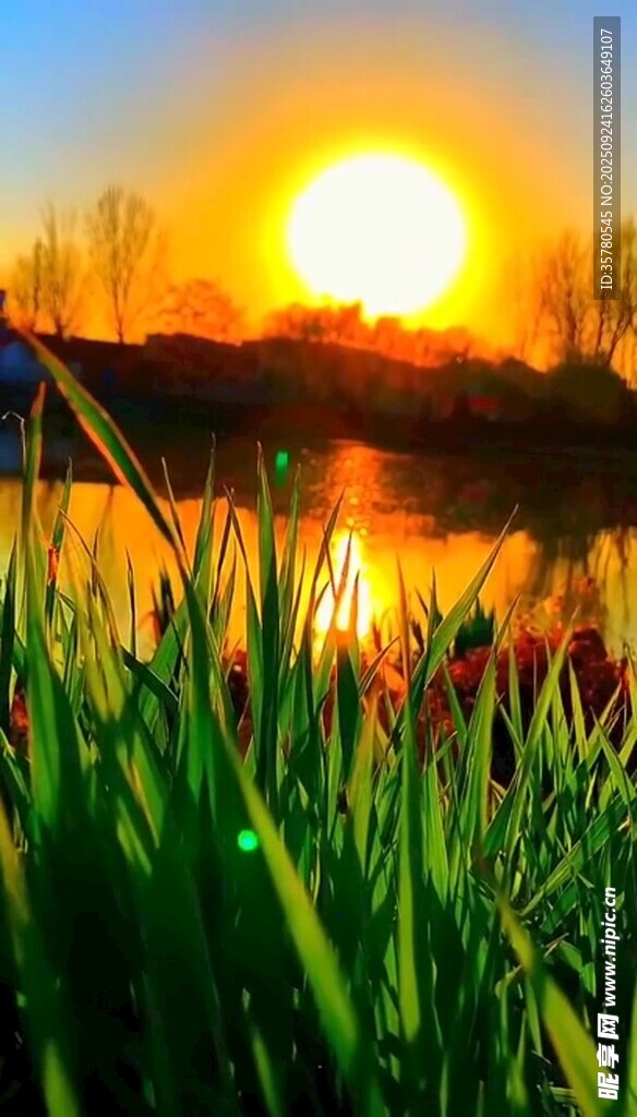 夕陽下的草地與波光湖面